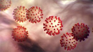 Corona Virus